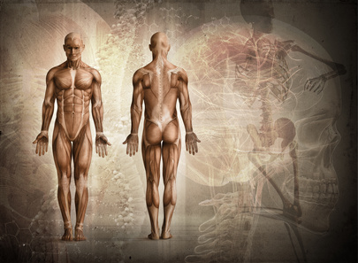 Unglaublich grösste menschliche Skelette der Welt – Nephilim