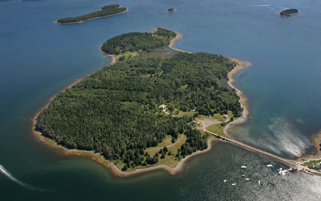 Der Schatz von Oak Island bis heute unentdeckt